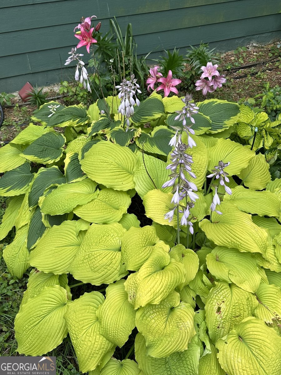 382 Penwood Trail Dacula - Photo 52