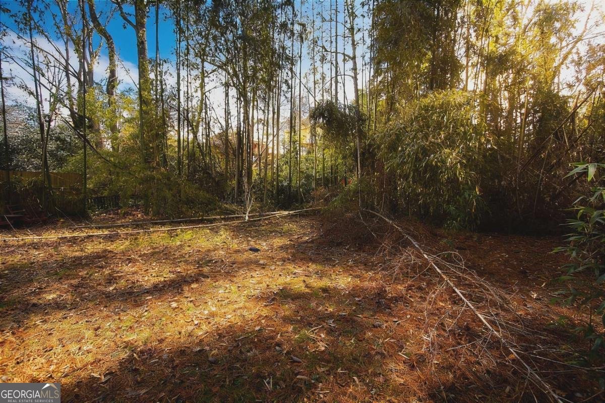 924 Brookdale Place Decatur - Photo 19