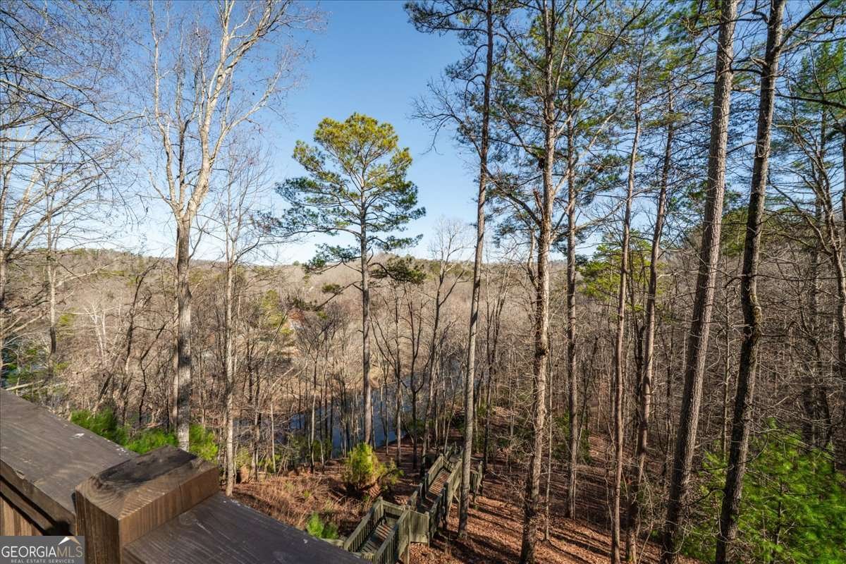 411 Gunite Circle Ellijay - Photo 32