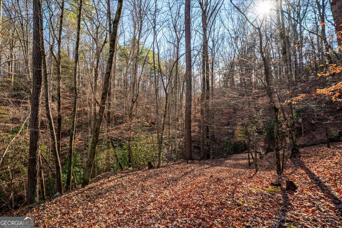 411 Gunite Circle Ellijay - Photo 62