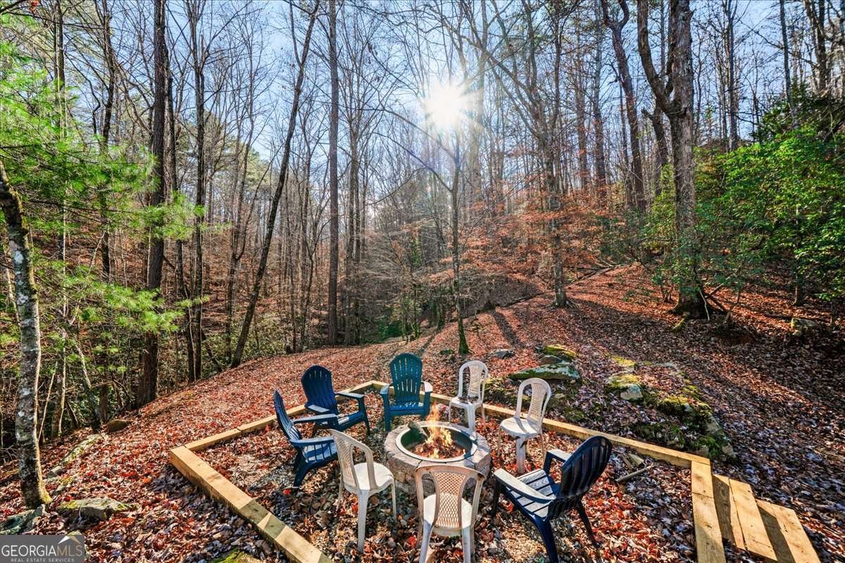 411 Gunite Circle Ellijay - Photo 63