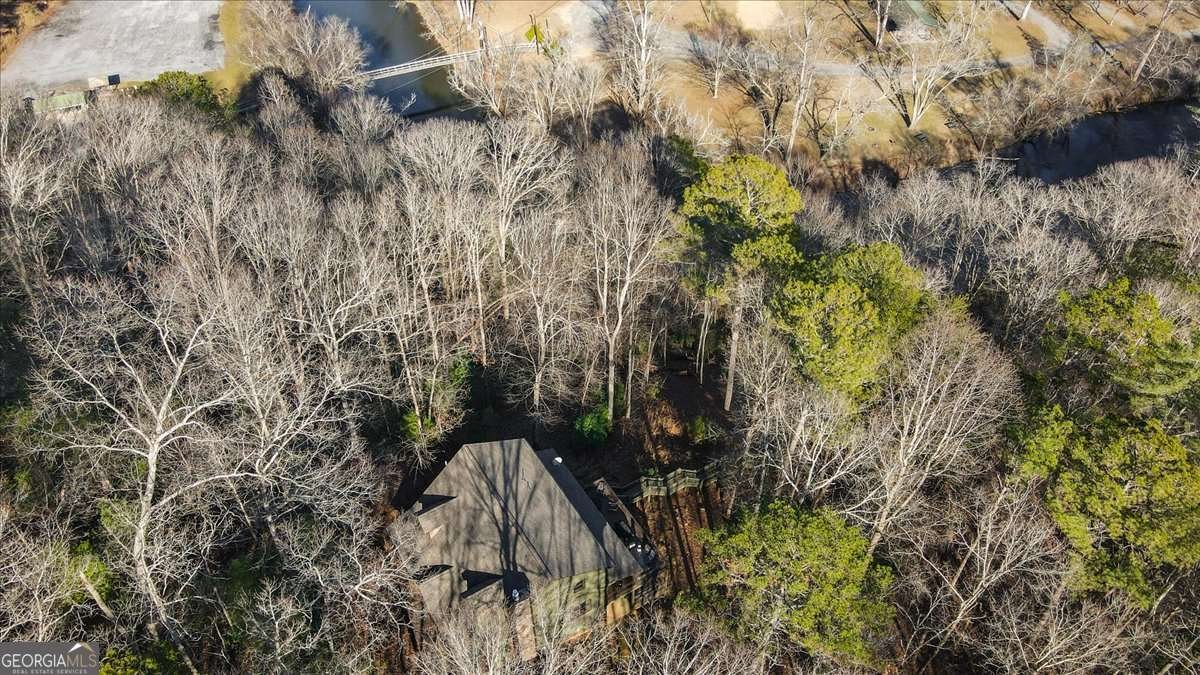 411 Gunite Circle Ellijay - Photo 78