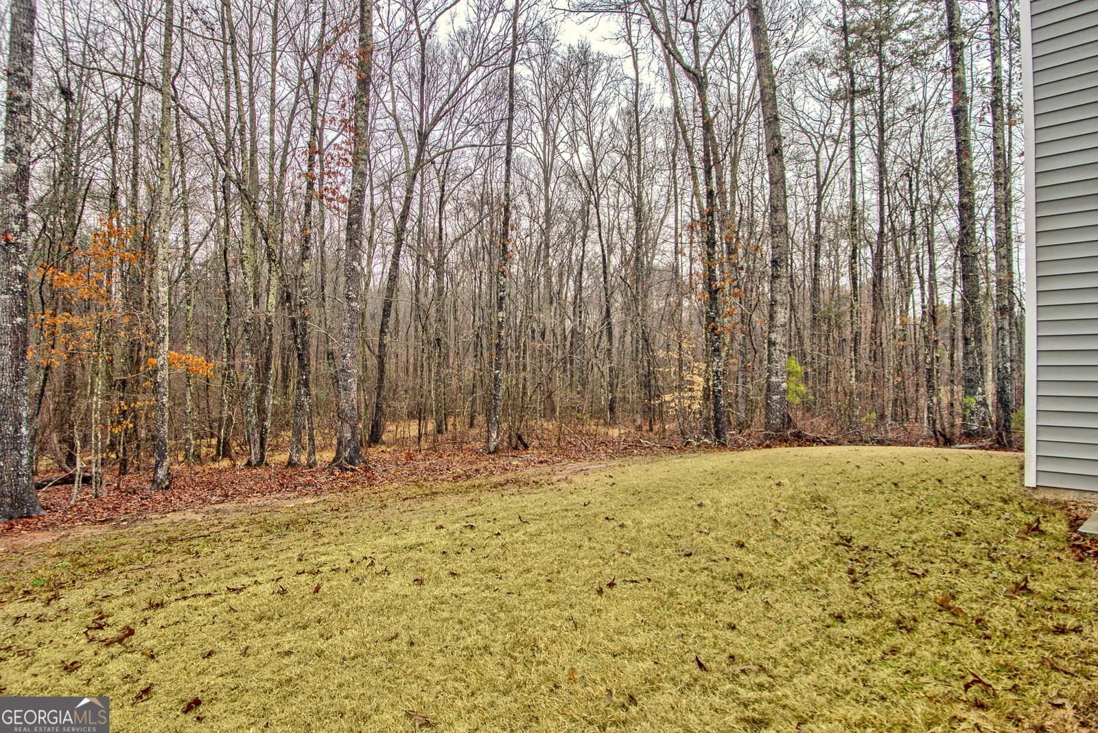 370 Cassidy Trail Douglasville - Photo 34