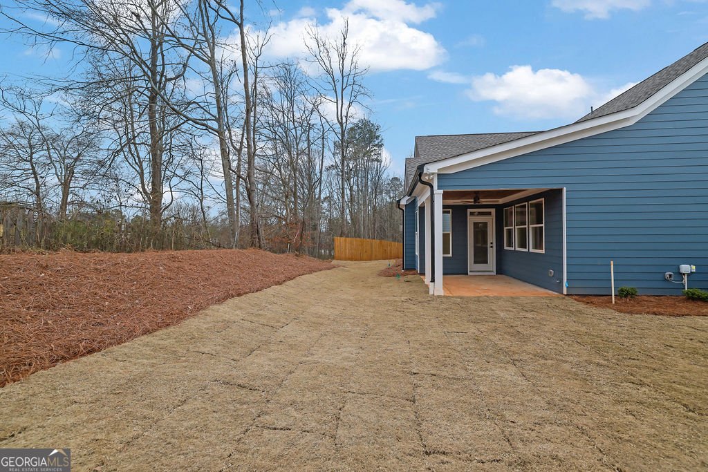 145 Alaina Road Holly Springs - Photo 43