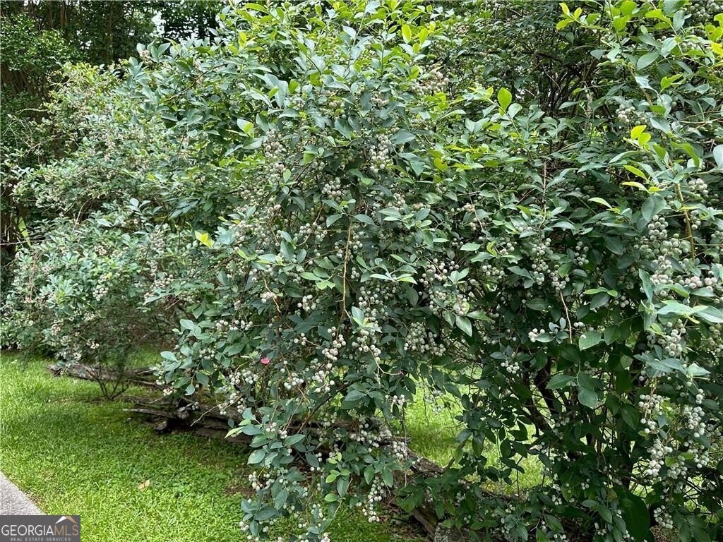 2736 WHISPER Trail Douglasville - Photo 36