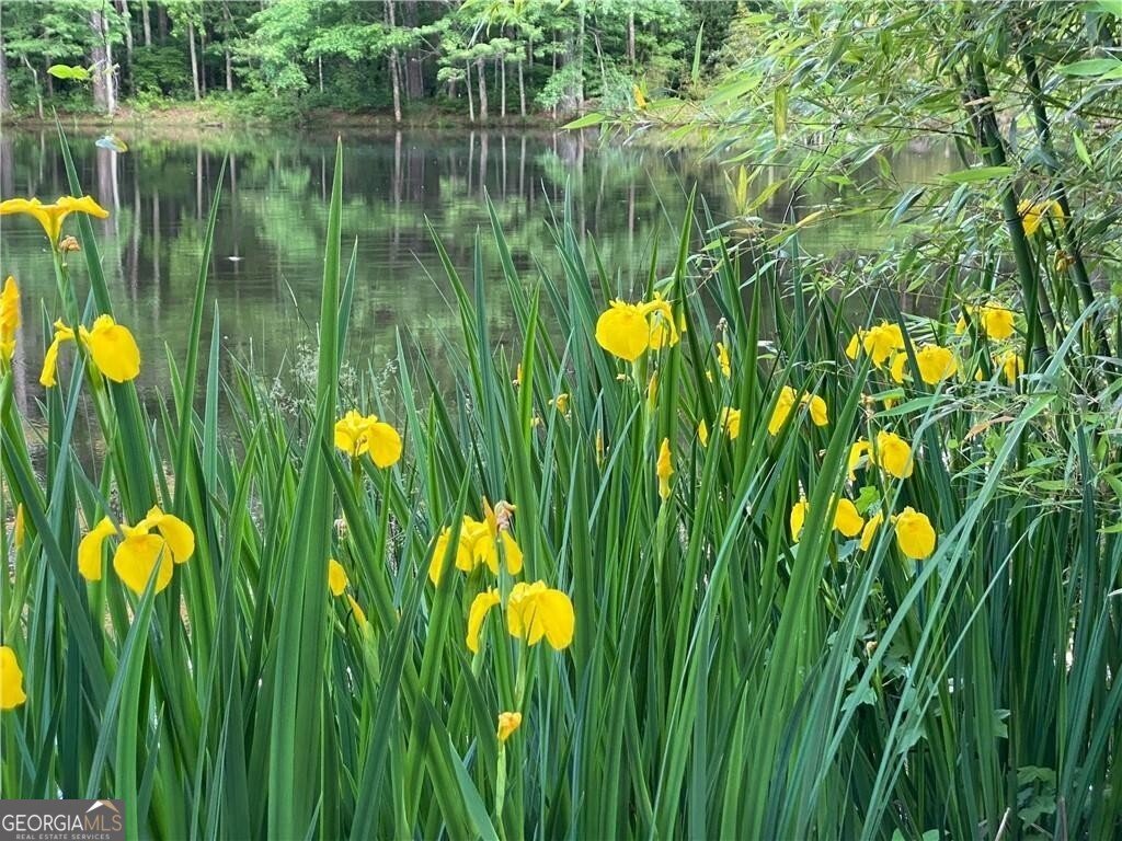 2736 WHISPER Trail Douglasville - Photo 37