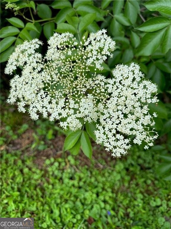 2736 WHISPER Trail Douglasville - Photo 40