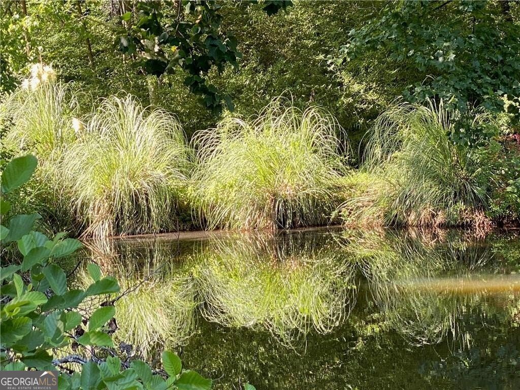 2736 WHISPER Trail Douglasville - Photo 42