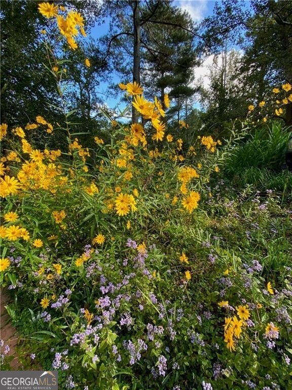 2736 WHISPER Trail Douglasville - Photo 43