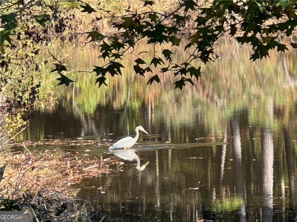 2736 WHISPER Trail Douglasville - Photo 44