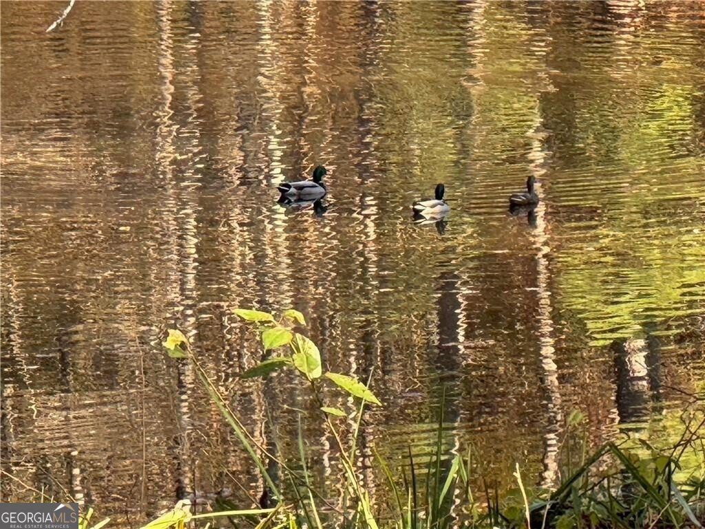 2736 WHISPER Trail Douglasville - Photo 45