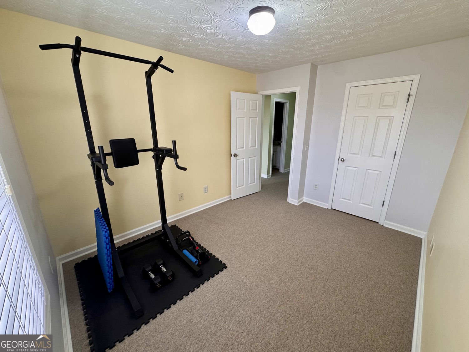 45 Hidden Hickory Court Dawsonville - Photo 26