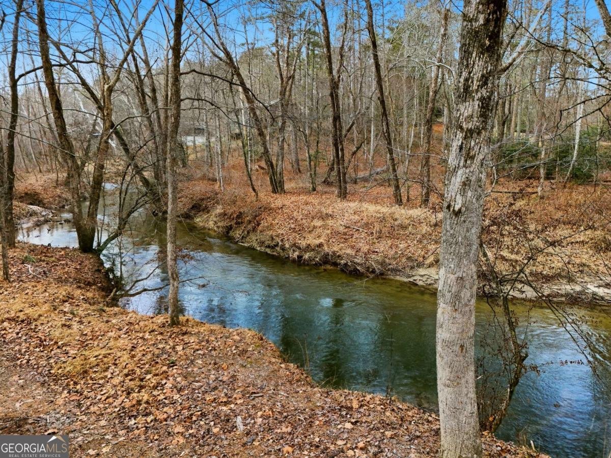 107 Cool Crk Trl Blue Ridge - Photo 68