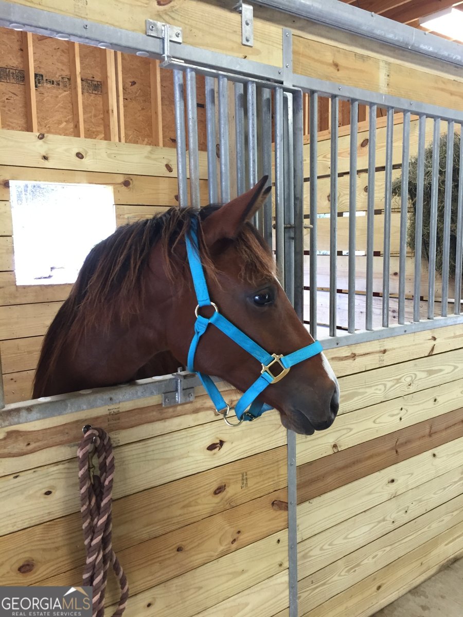 3622 Sandy Ford Road Clayton - Photo 106