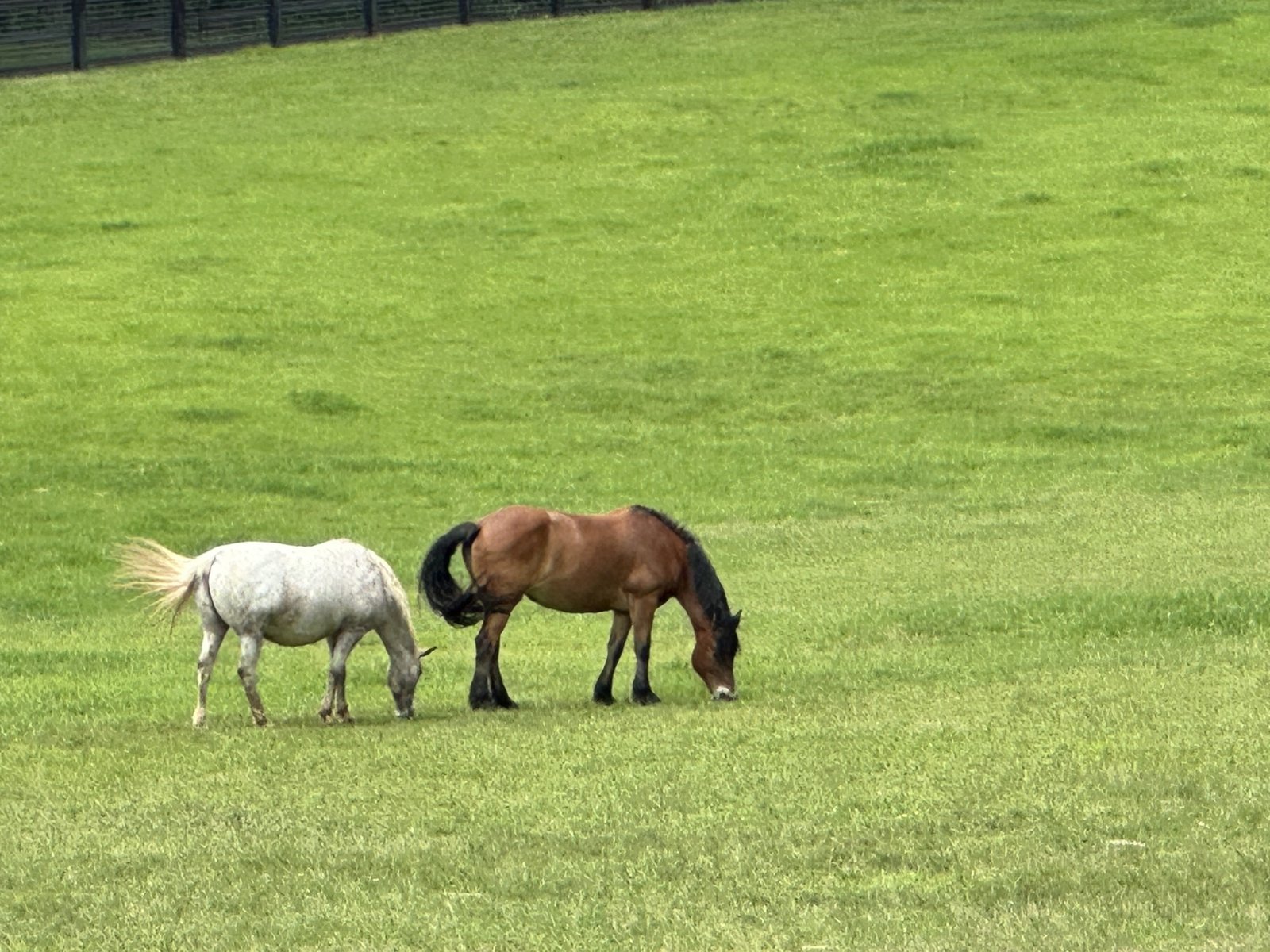 3622 Sandy Ford Road Clayton - Photo 121