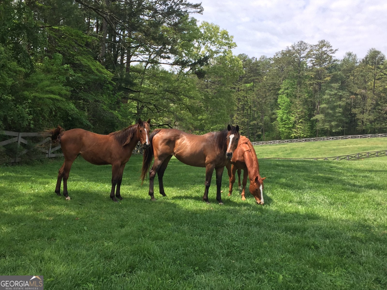 3622 Sandy Ford Road Clayton - Photo 122