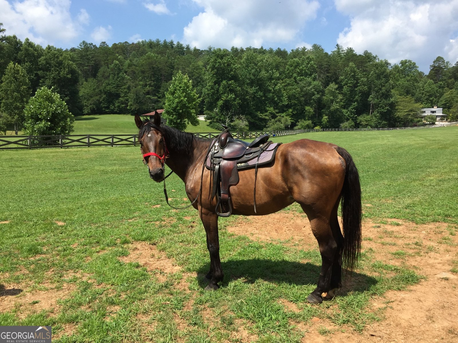 3622 Sandy Ford Road Clayton - Photo 123