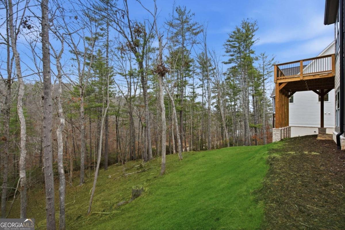 110 Peninsula Way Dawsonville - Photo 50