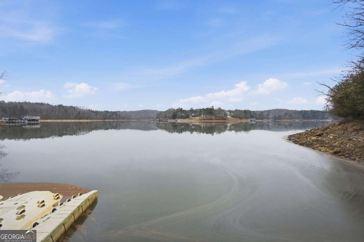 110 Peninsula Way Dawsonville - Photo 69