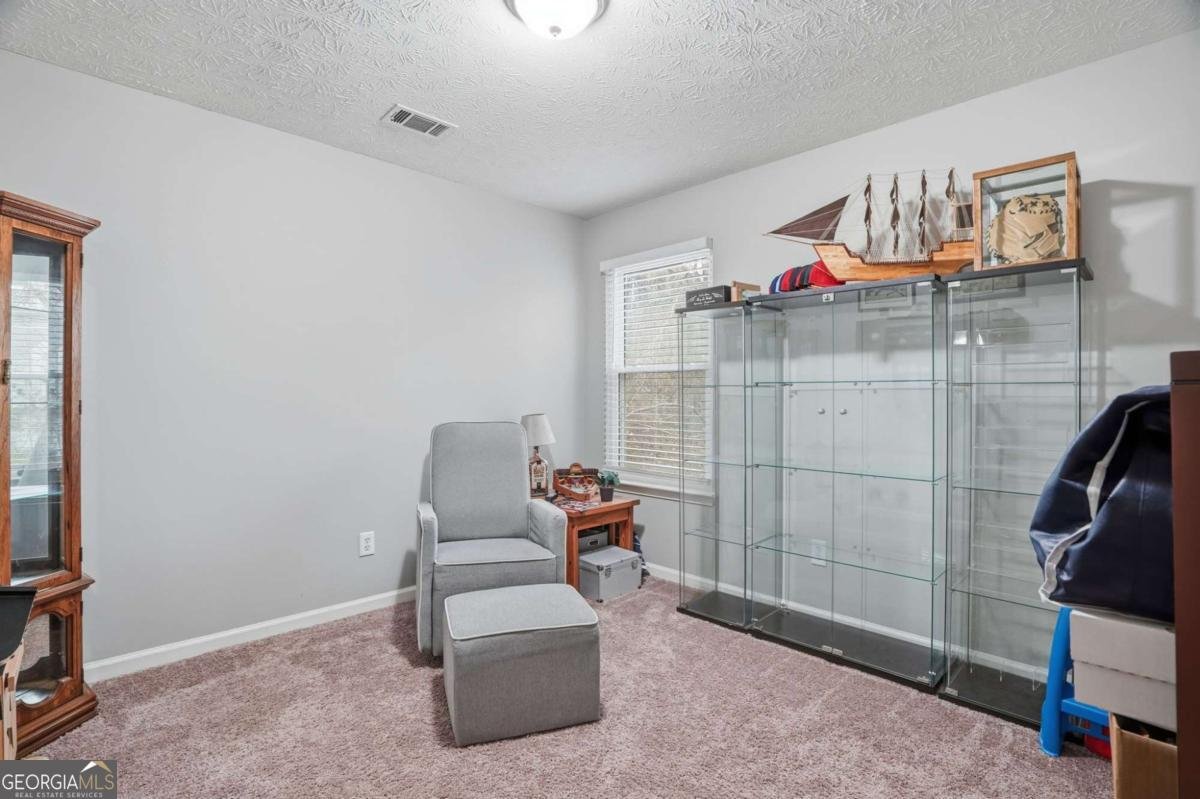 6625 Brittney Lane Cumming - Photo 26