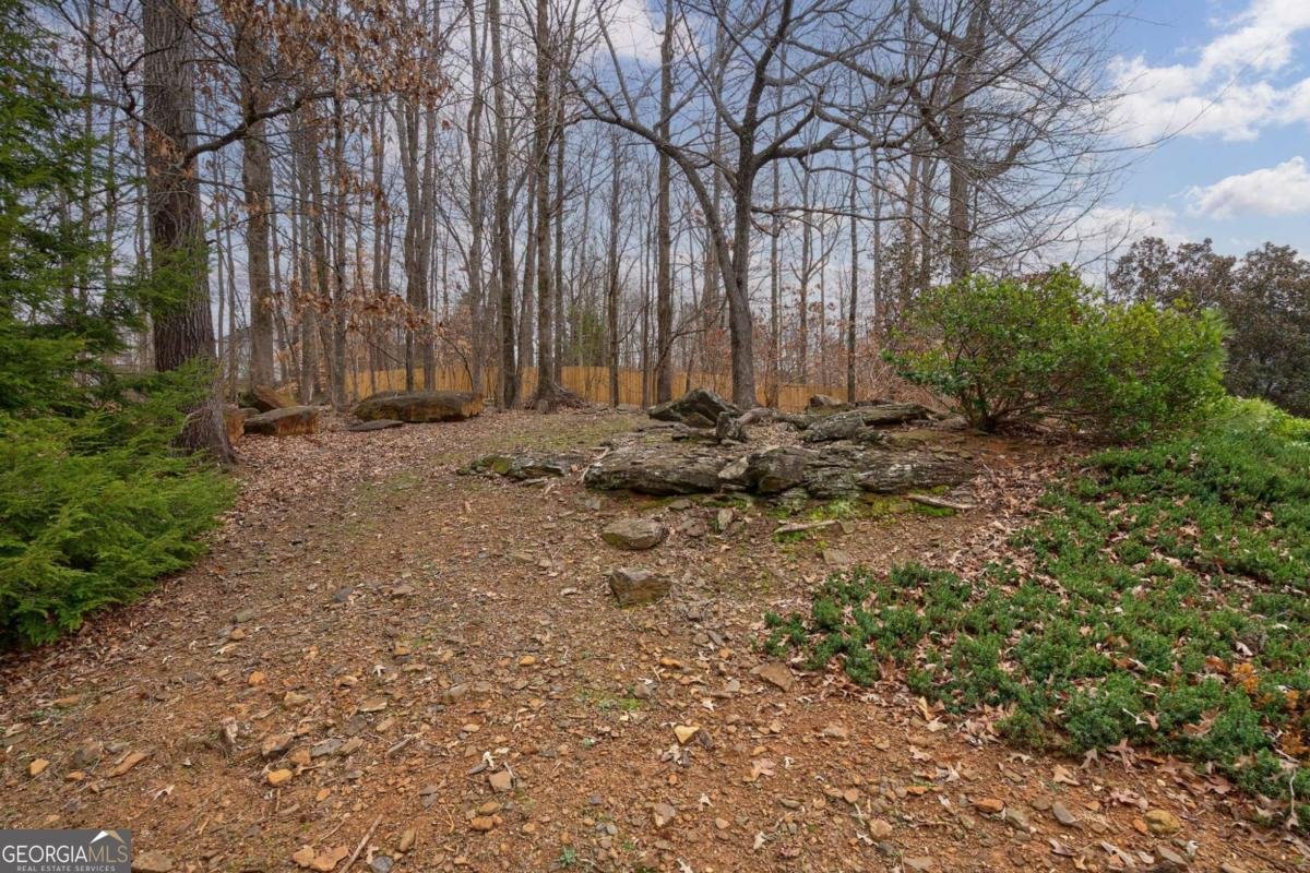 981 Ardmore Trail Hoschton - Photo 61