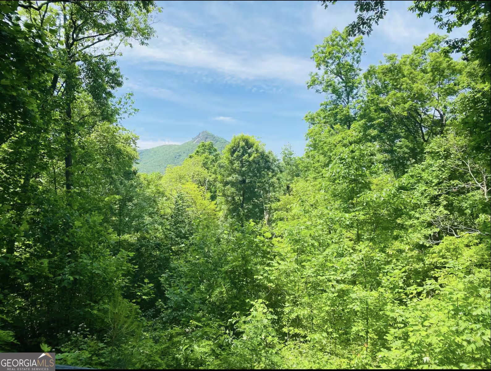 2531 Hunter Road Hiawassee - Photo 38