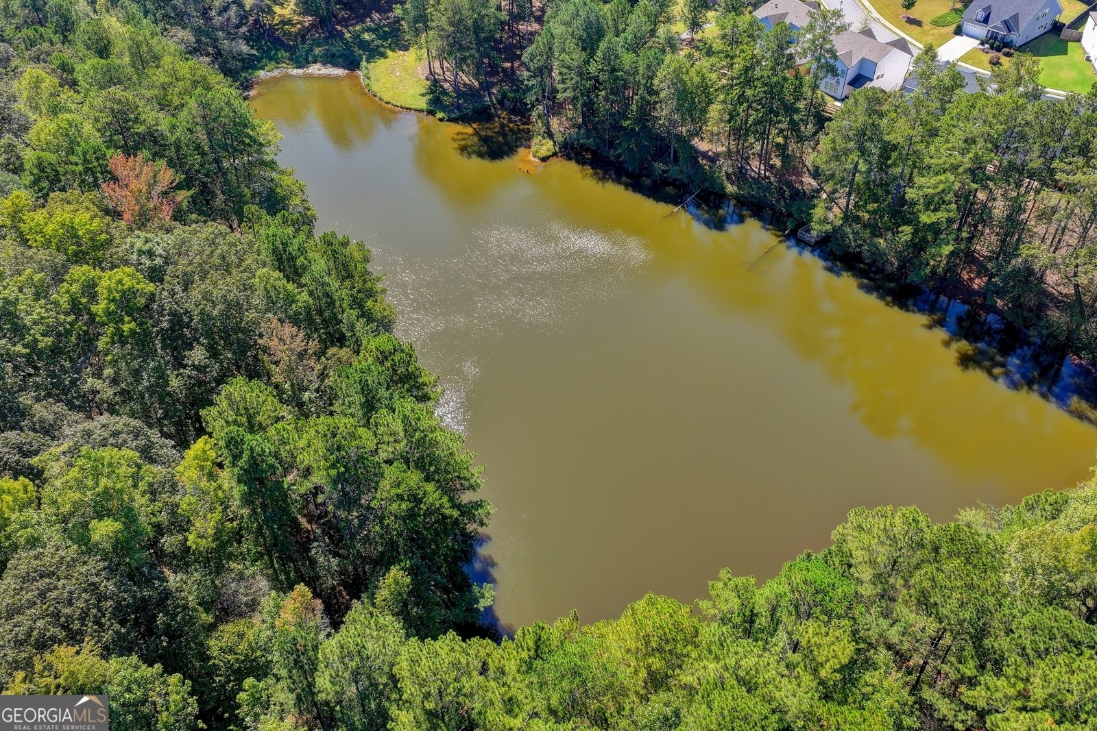 1031 Riverside Road Sugar Hill - Photo 101