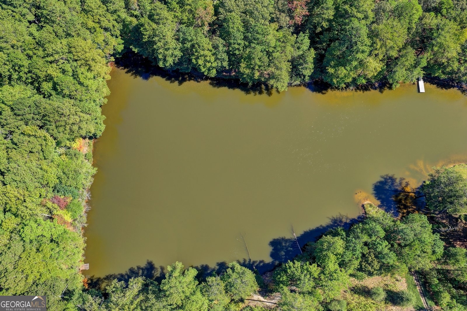 1031 Riverside Road Sugar Hill - Photo 98