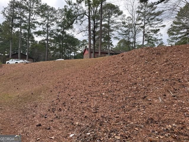 646 Garden Walk Drive Stone Mountain - Photo 23