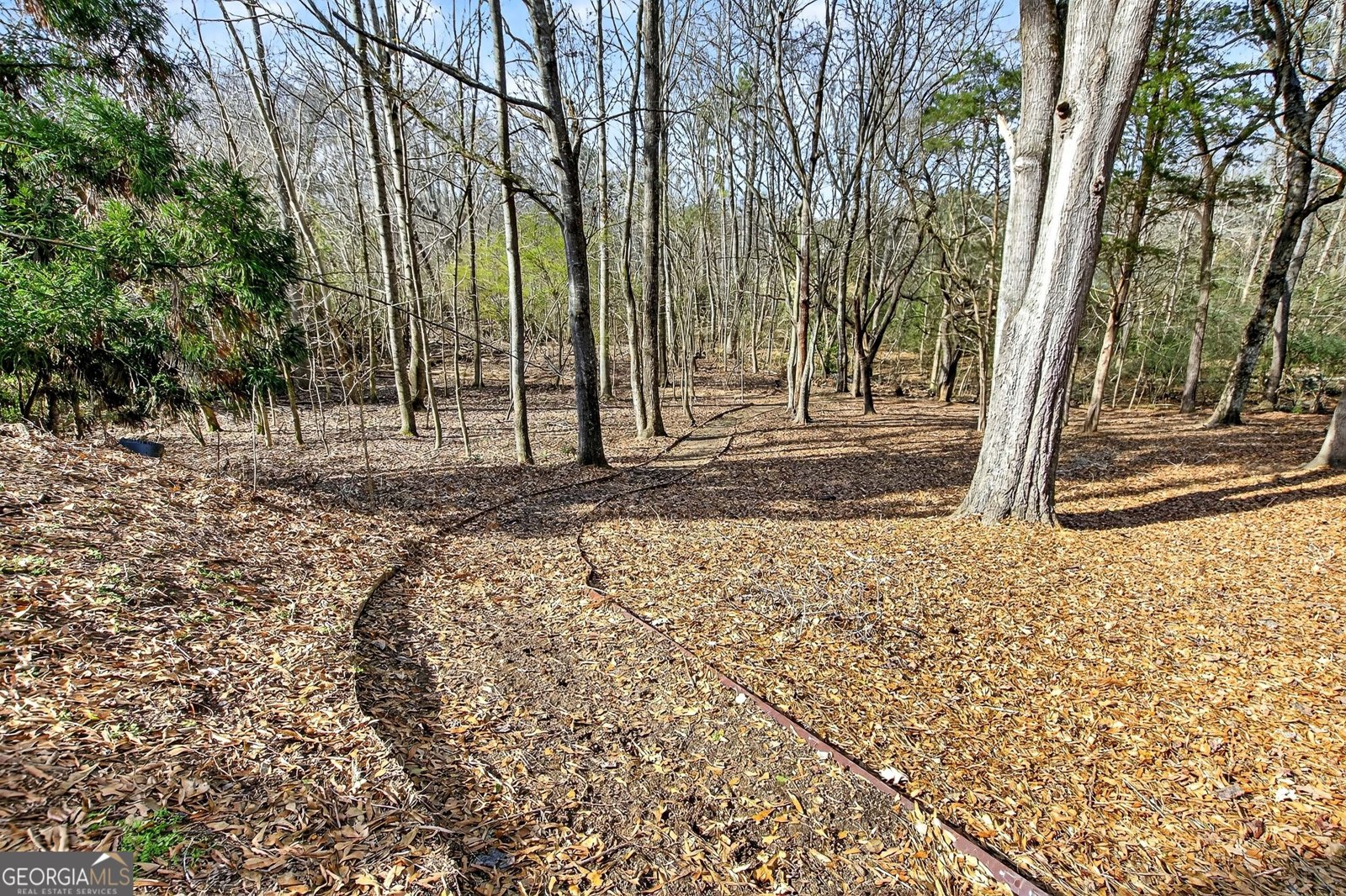 3158 Addison Drive Alpharetta - Photo 74