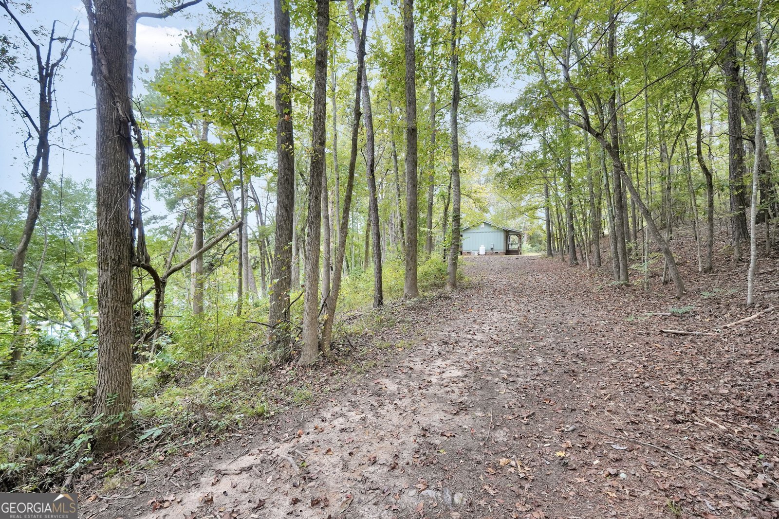 686 Burkett Road Thomaston - Photo 52