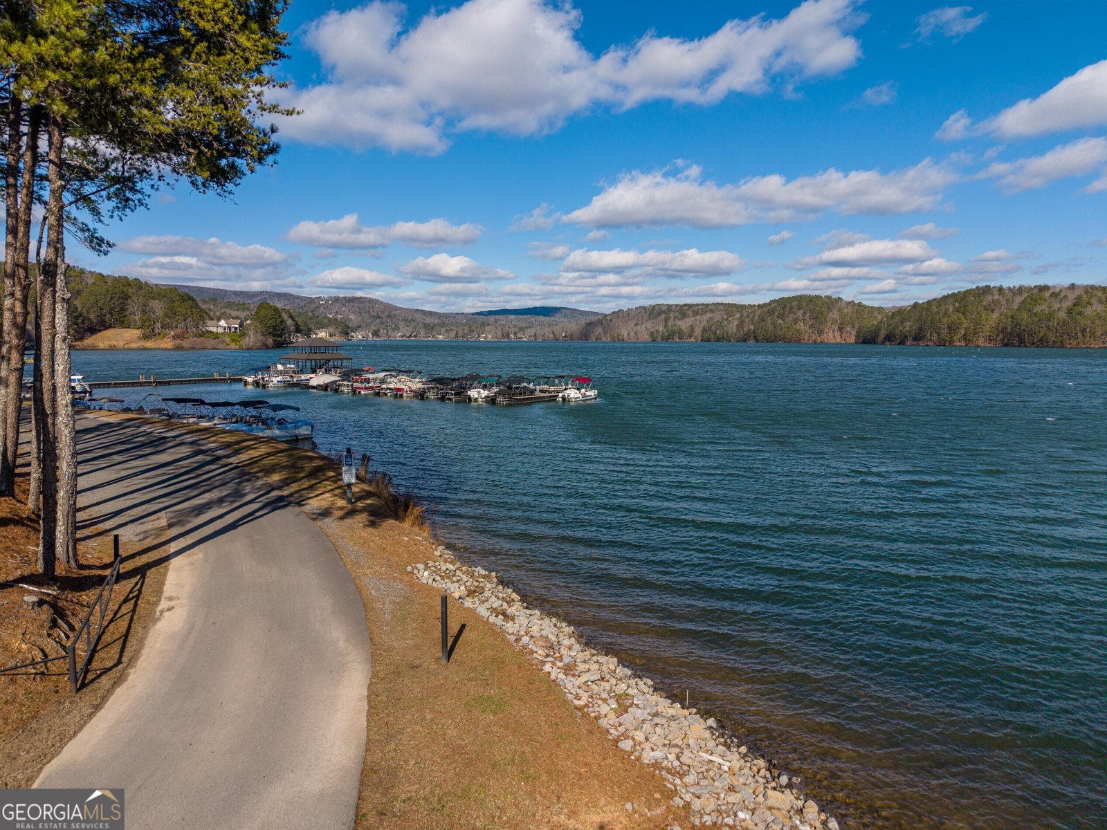 94 Hawks Trail Waleska - Photo 45