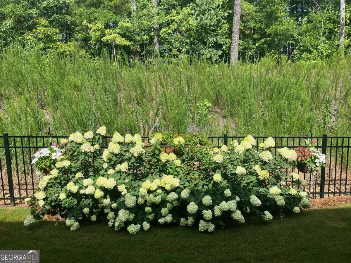 20058 Windalier Way Roswell - Photo 42