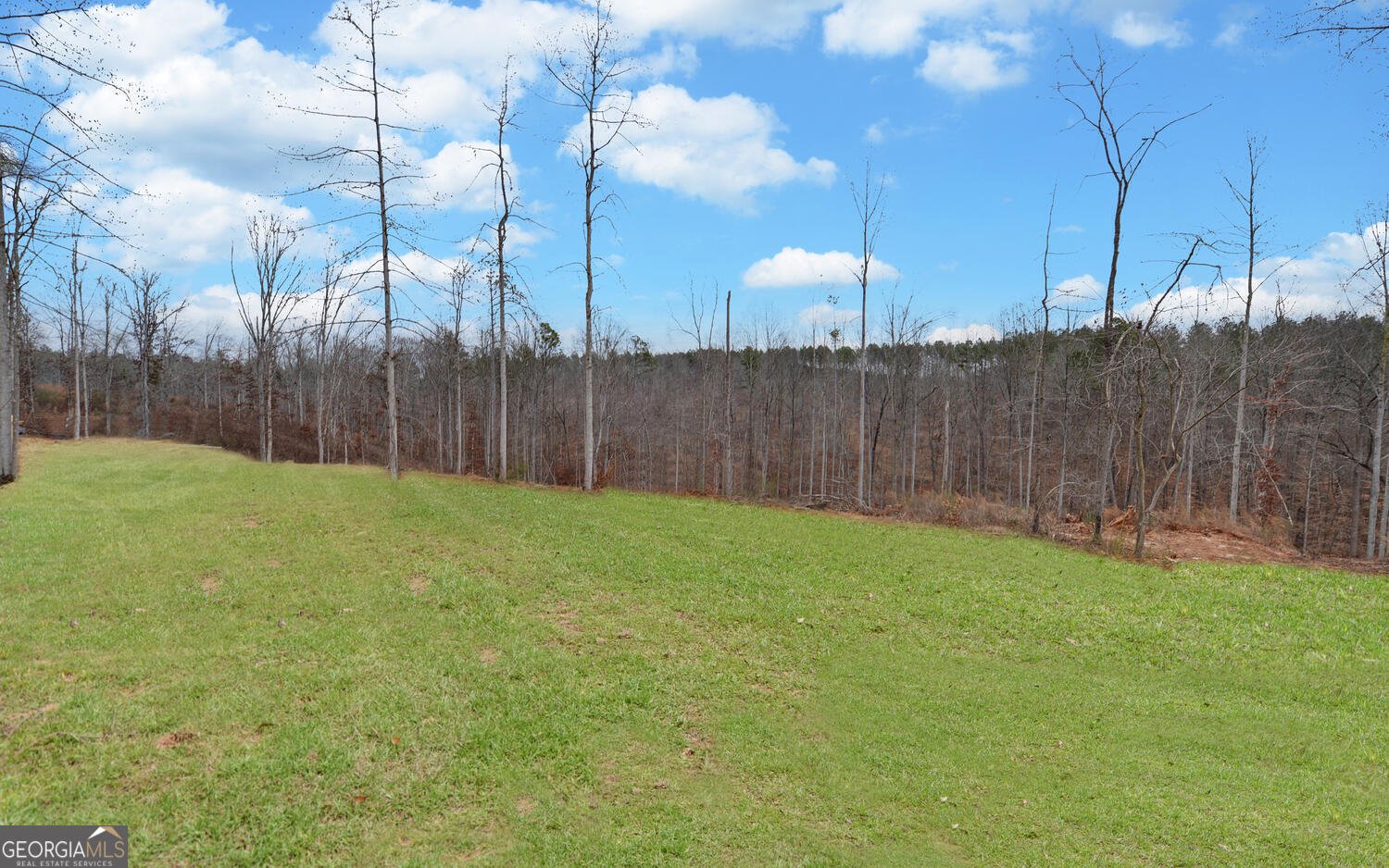 2278 Tower Road Martin - Photo 38