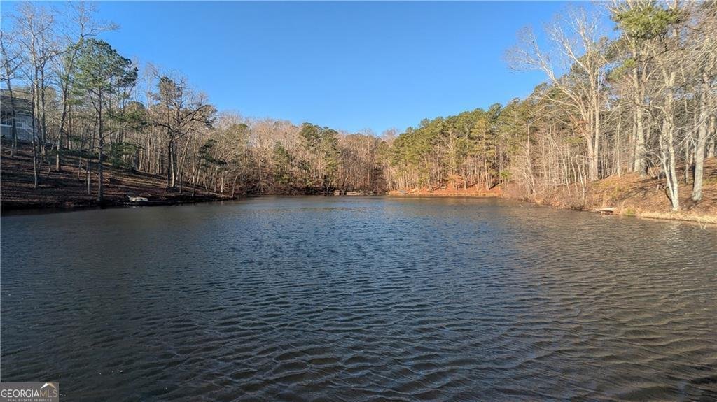 101 Arrow Wood Drive Waleska - Photo 47