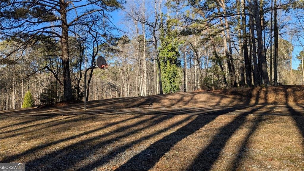 101 Arrow Wood Drive Waleska - Photo 51