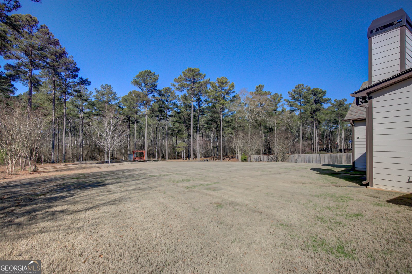 65 Fox Hall Crossing West Senoia - Photo 61