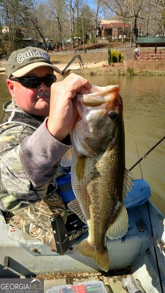 19 Yogi Bear Boulevard Cleveland - Photo 59