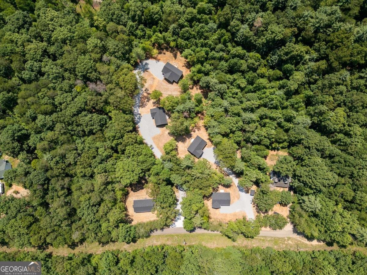 205 Perkins Road Dahlonega - Photo 42