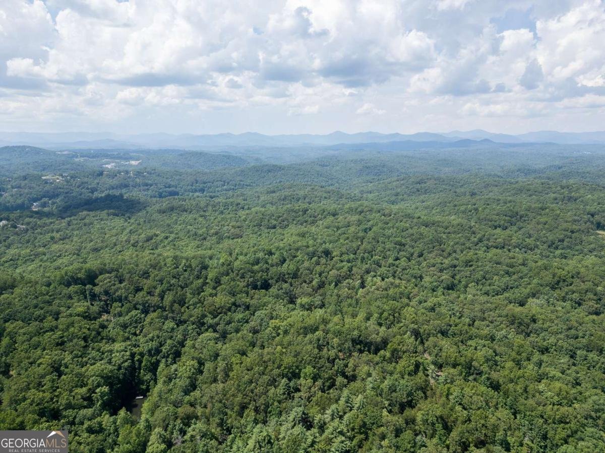 205 Perkins Road Dahlonega - Photo 44