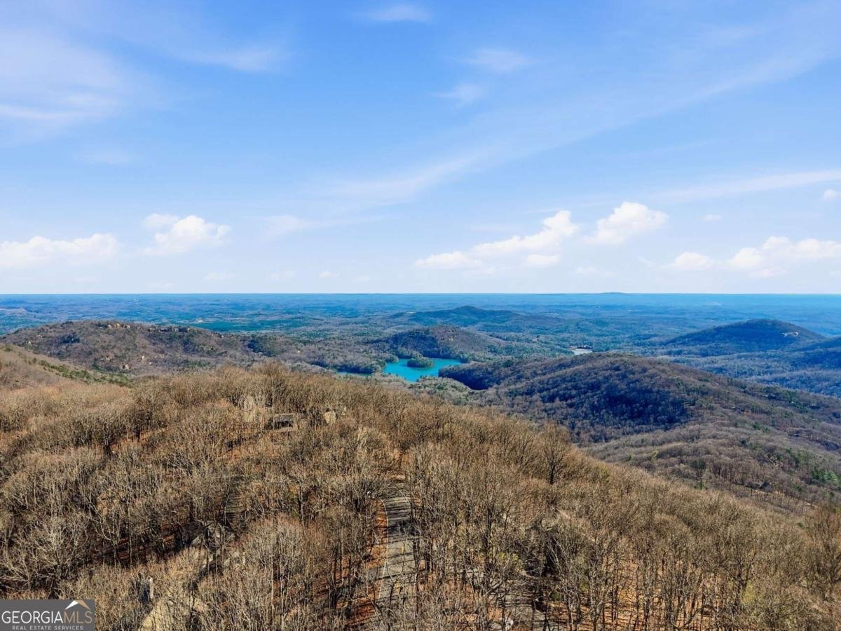 425 Sanderlin Mountain Drive Jasper - Photo 38