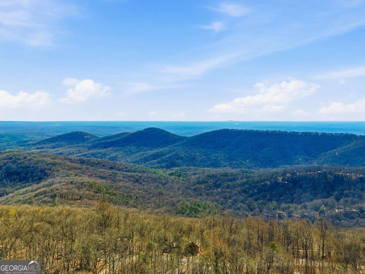 425 Sanderlin Mountain Drive Jasper - Photo 39