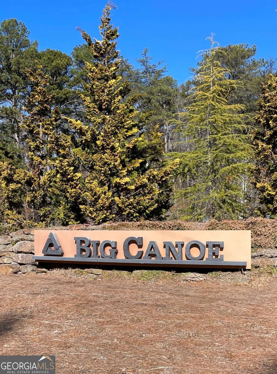 425 Sanderlin Mountain Drive Jasper - Photo 43