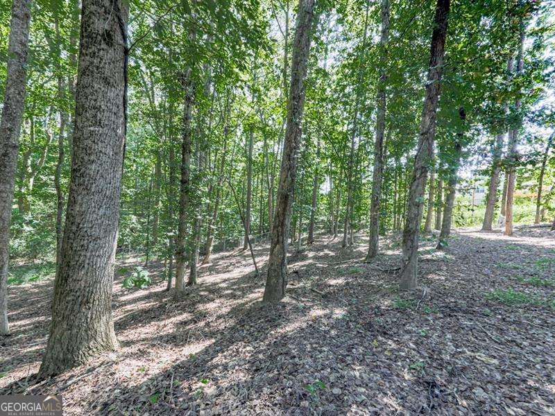 5855 Wills Lake Road Cumming - Photo 47