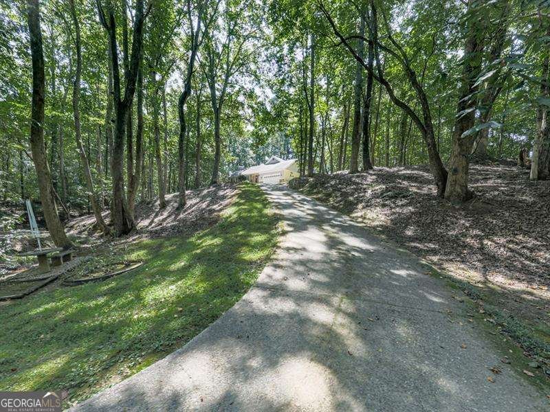 5855 Wills Lake Road Cumming - Photo 50