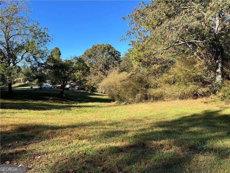 1175 Bartow Street Waleska - Photo 1