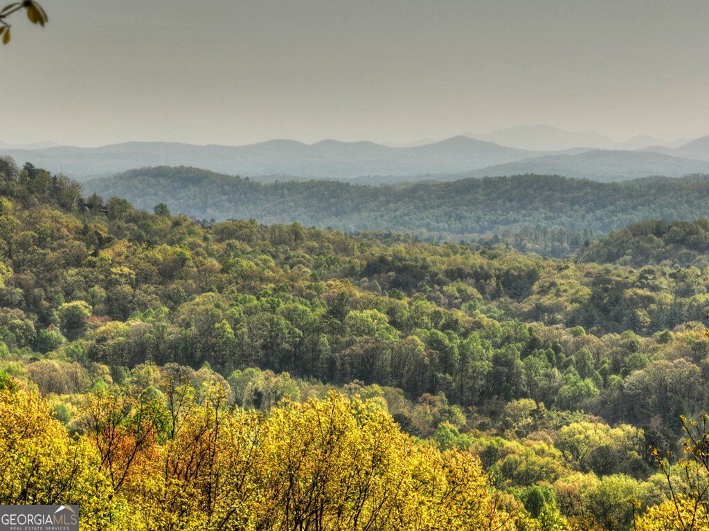 783 Moreland Drive N Cherry Log - Photo 12