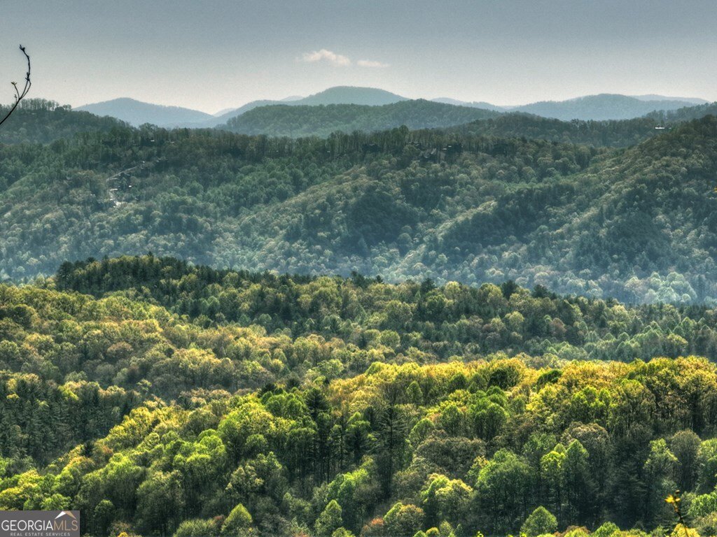 783 Moreland Drive N Cherry Log - Photo 13