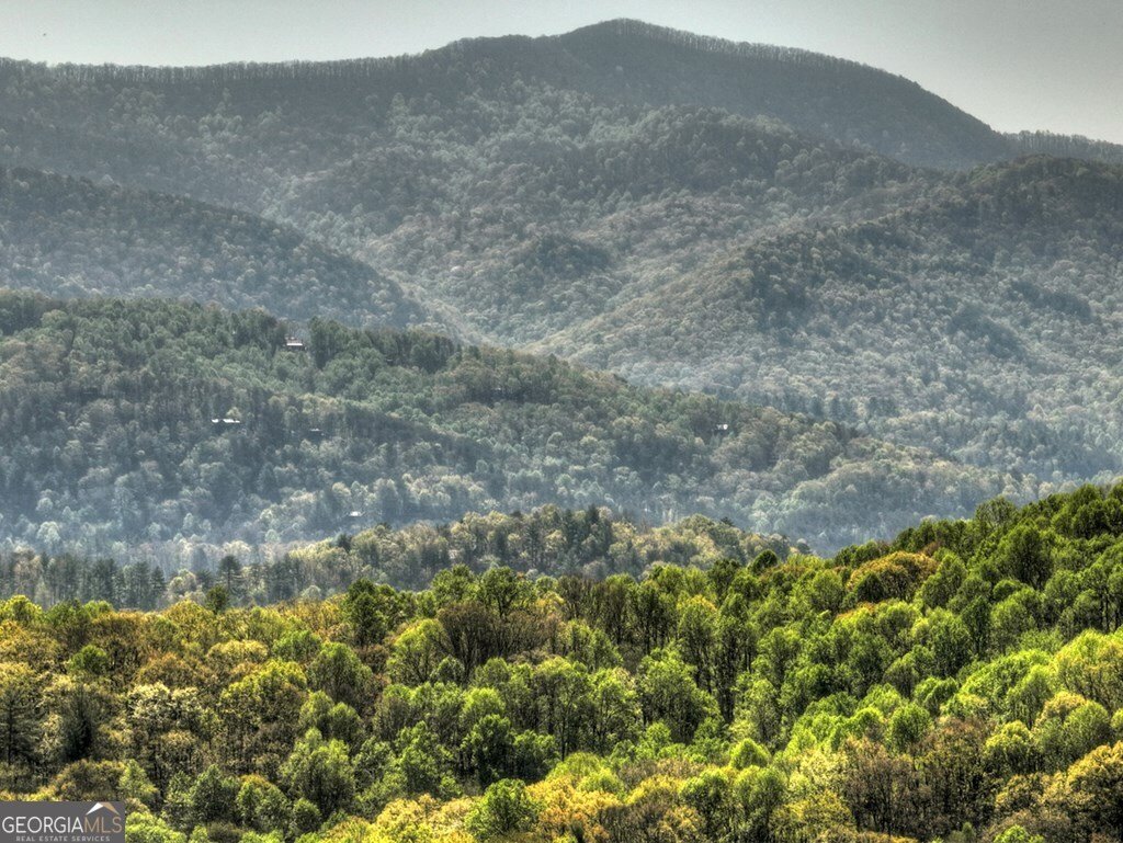 783 Moreland Drive N Cherry Log - Photo 14