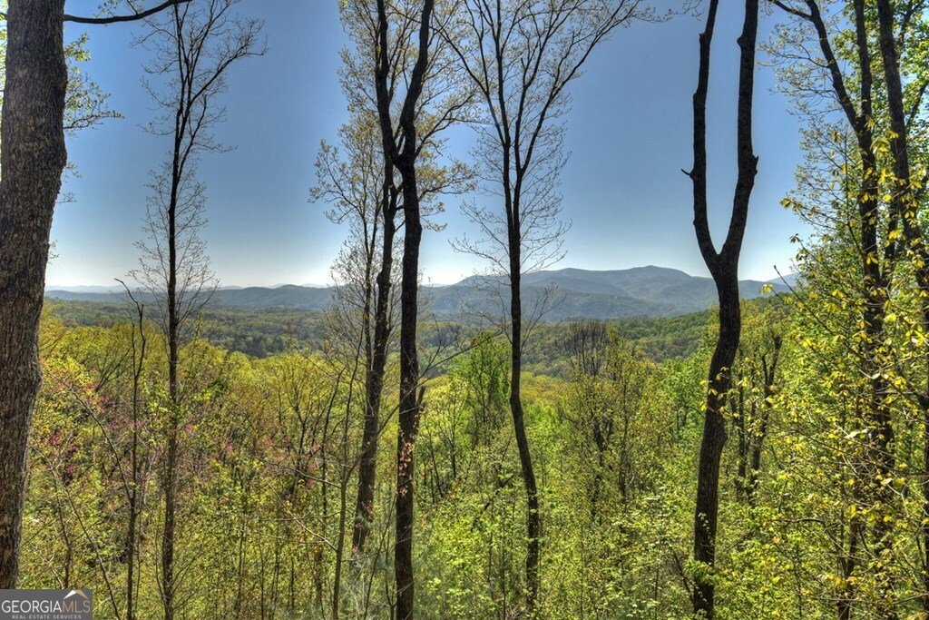 783 Moreland Drive N Cherry Log - Photo 27